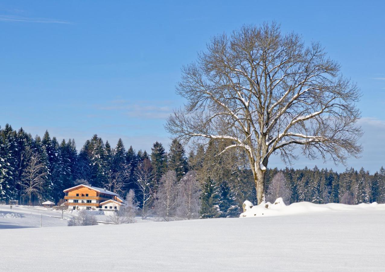 Moorhof 3* Neuschönau